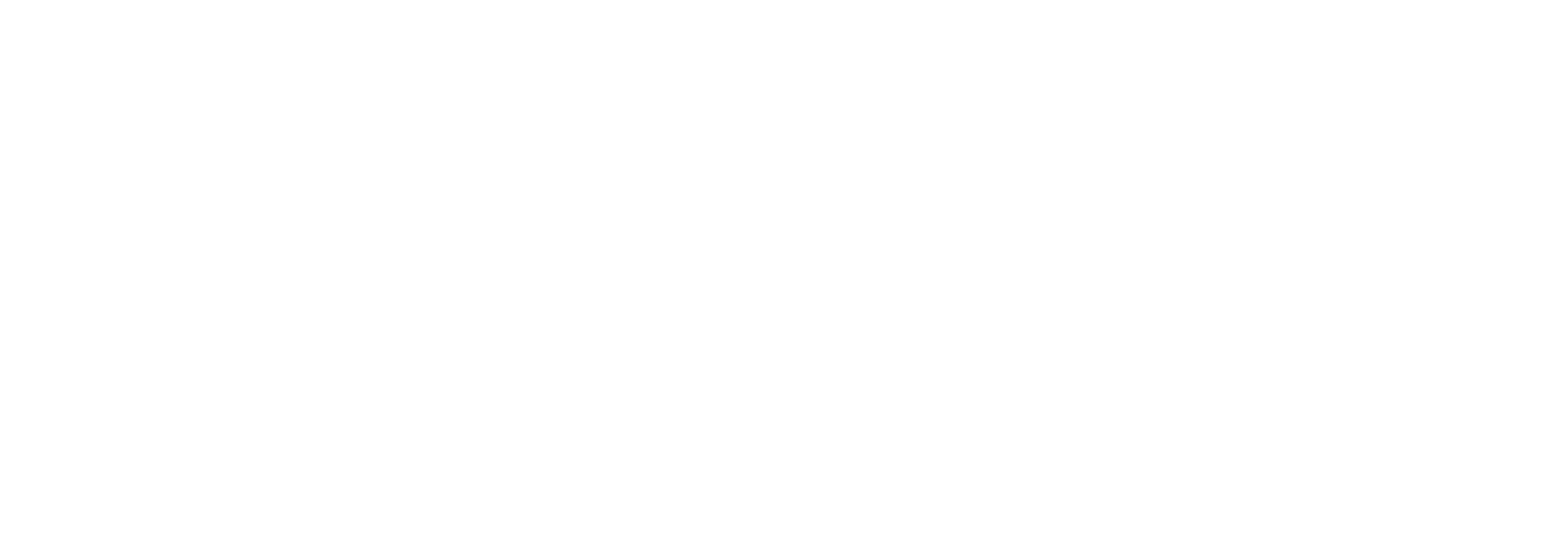 Bilgiislembeyaz